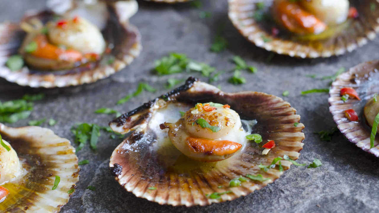 1. Coquilles Saint-Jacques